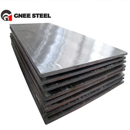 Stainless Steel Plate26