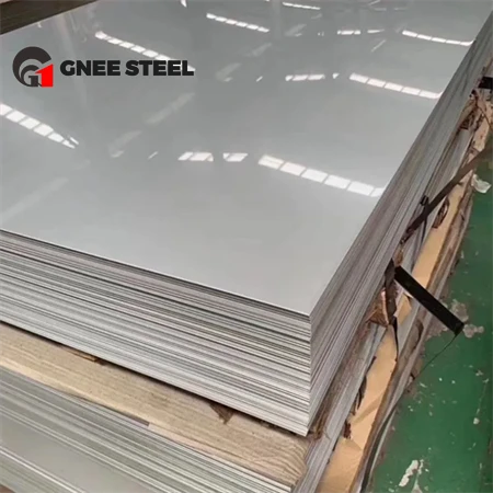 Stainless Steel Plate30