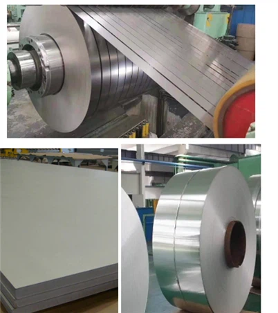 Dải nhiệt sinh học 5j11