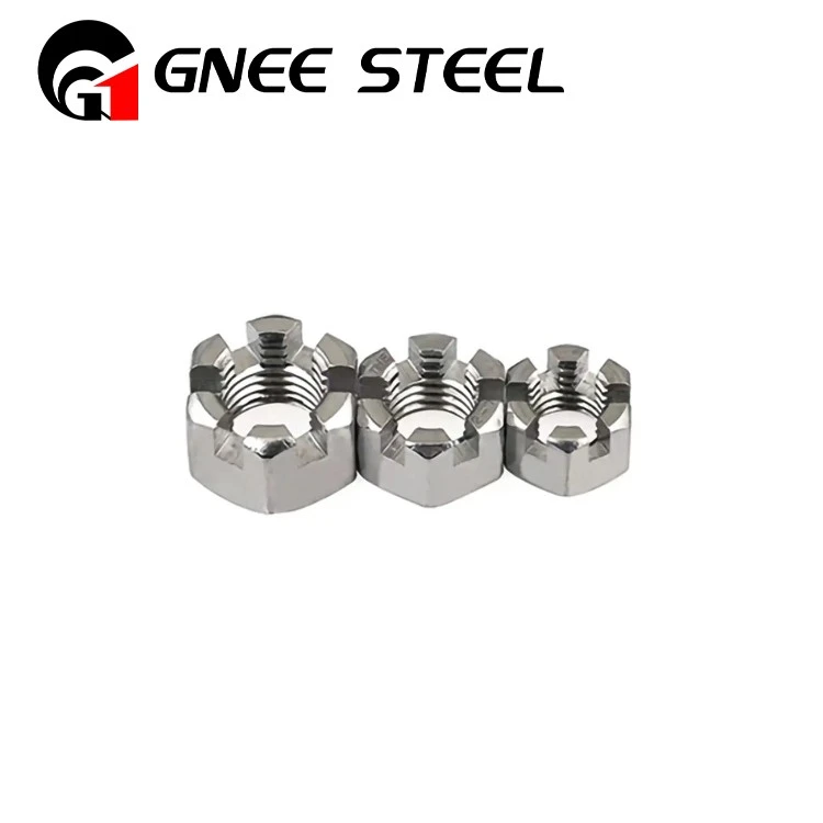 Stainless Steel Slotted Nut